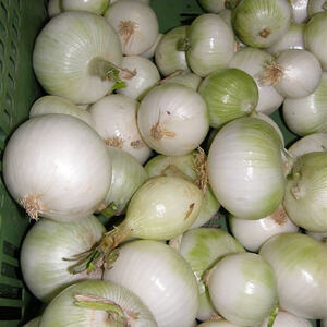 Erntedankfest