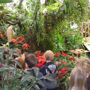 Kindergarten