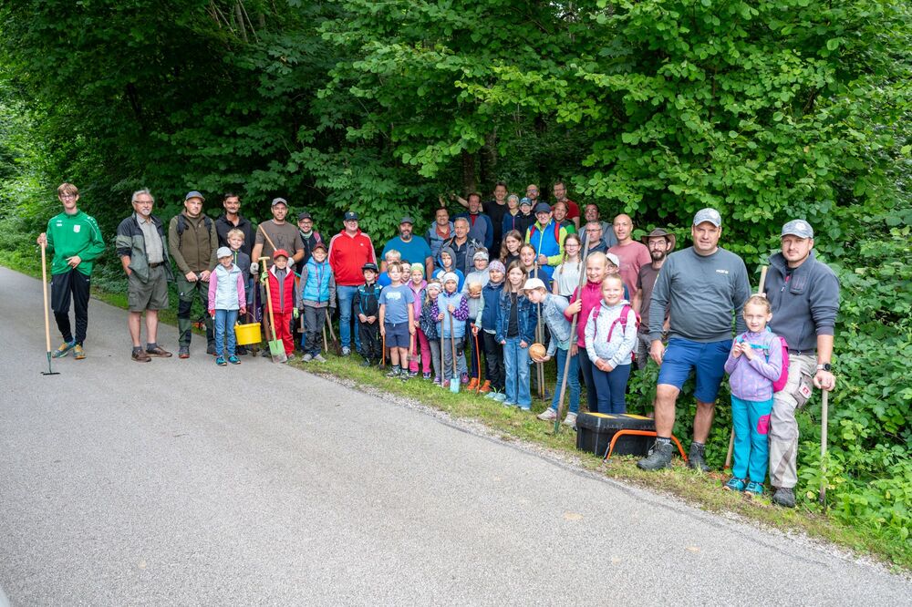 Bau einer Waldkugelbahn