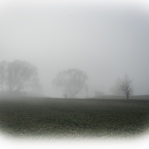 © hedari