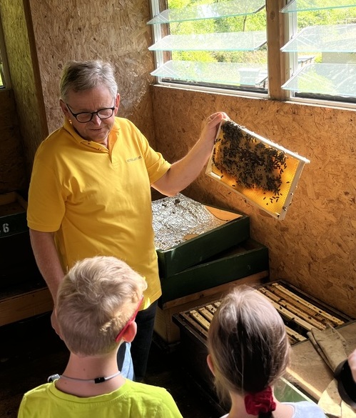 Bienen