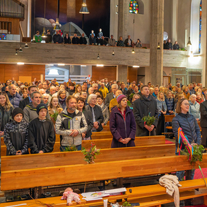 Palmsonntag / Foto Haijes Palmsonntag Pfarre Kirchdorf an der Krems