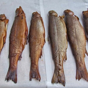 Wein und Fisch