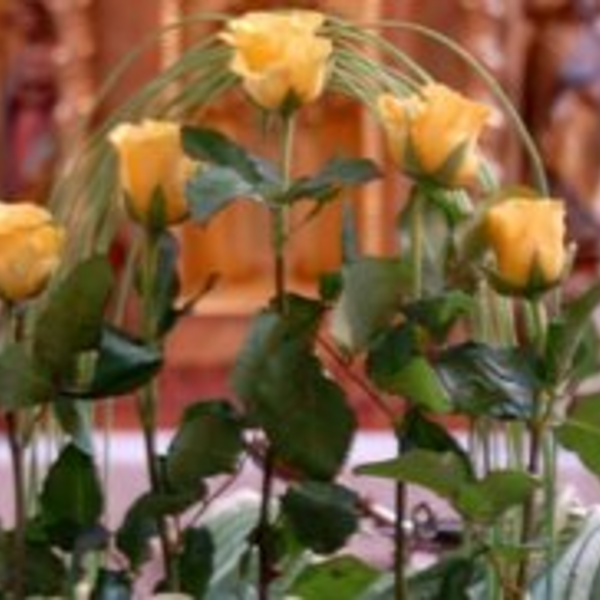 Blumenschmuck / meinde Bad Wimsbach-Neydharting Blumenschmuck