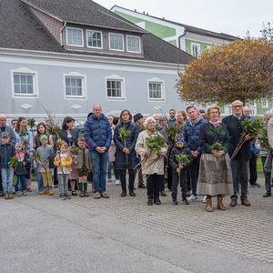 Palmsonntag / Foto Haijes Palmsonntag Pfarre Kirchdorf an der Krems