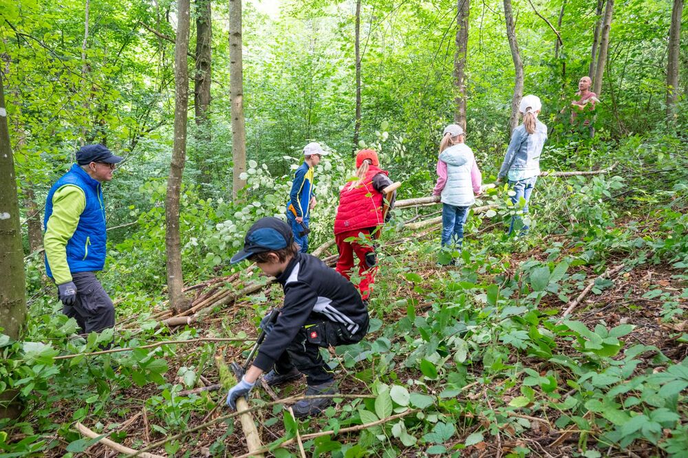Bau einer Waldkugelbahn