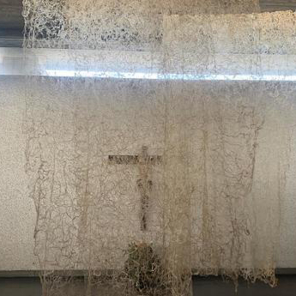 Das Fastentuch als Kunstwerk / © Pfarrgemeinde Langholzfeld Das Fastentuch als Kunstwerk